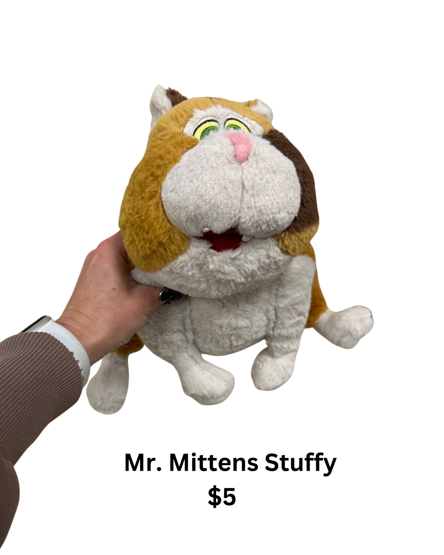 Mr. Mittens Stuffy